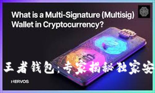 比特币王者钱包：专家揭秘独家安全秘诀