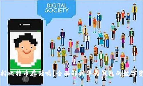 华为钱包支持比特币存储吗？全面解析华为钱包的数字资产管理能力