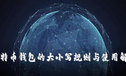 比特币钱包的大小写规则与使用解析