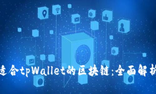选择最适合tpWallet的区块链：全面解析与比较