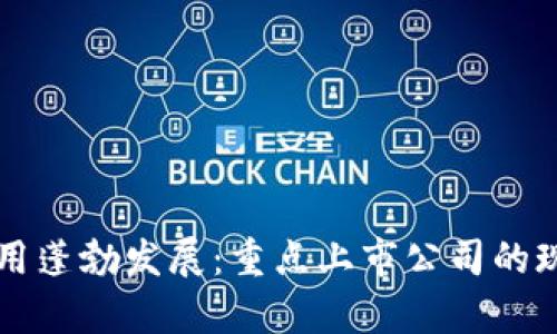 区块链应用蓬勃发展：重点上市公司的现状与前景