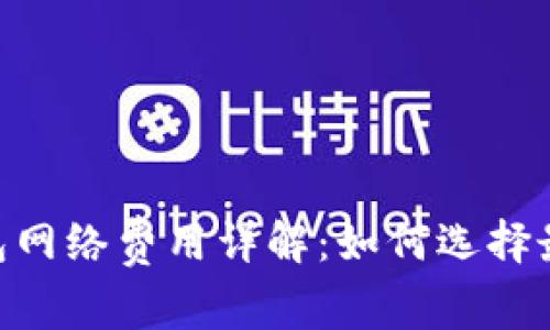 USDT钱包网络费用详解：如何选择最优方案？