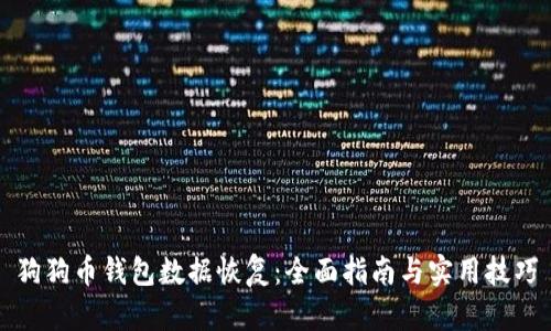 狗狗币钱包数据恢复：全面指南与实用技巧