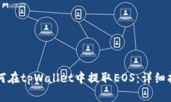 如何在tpWallet中提取EOS：详细指南