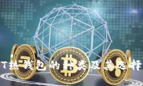 USDT热钱包的种类及其选择指南