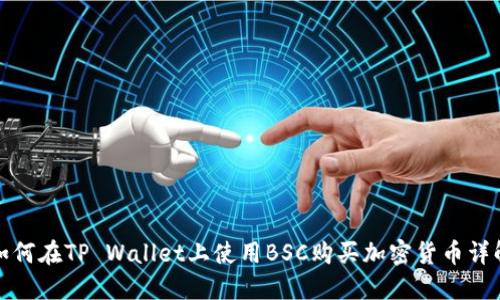 如何在TP Wallet上使用BSC购买加密货币详解