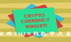 如何搭建和使用SHIB钱包节点系统：完整指南