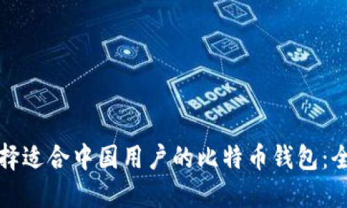 如何选择适合中国用户的比特币钱包：全面指南